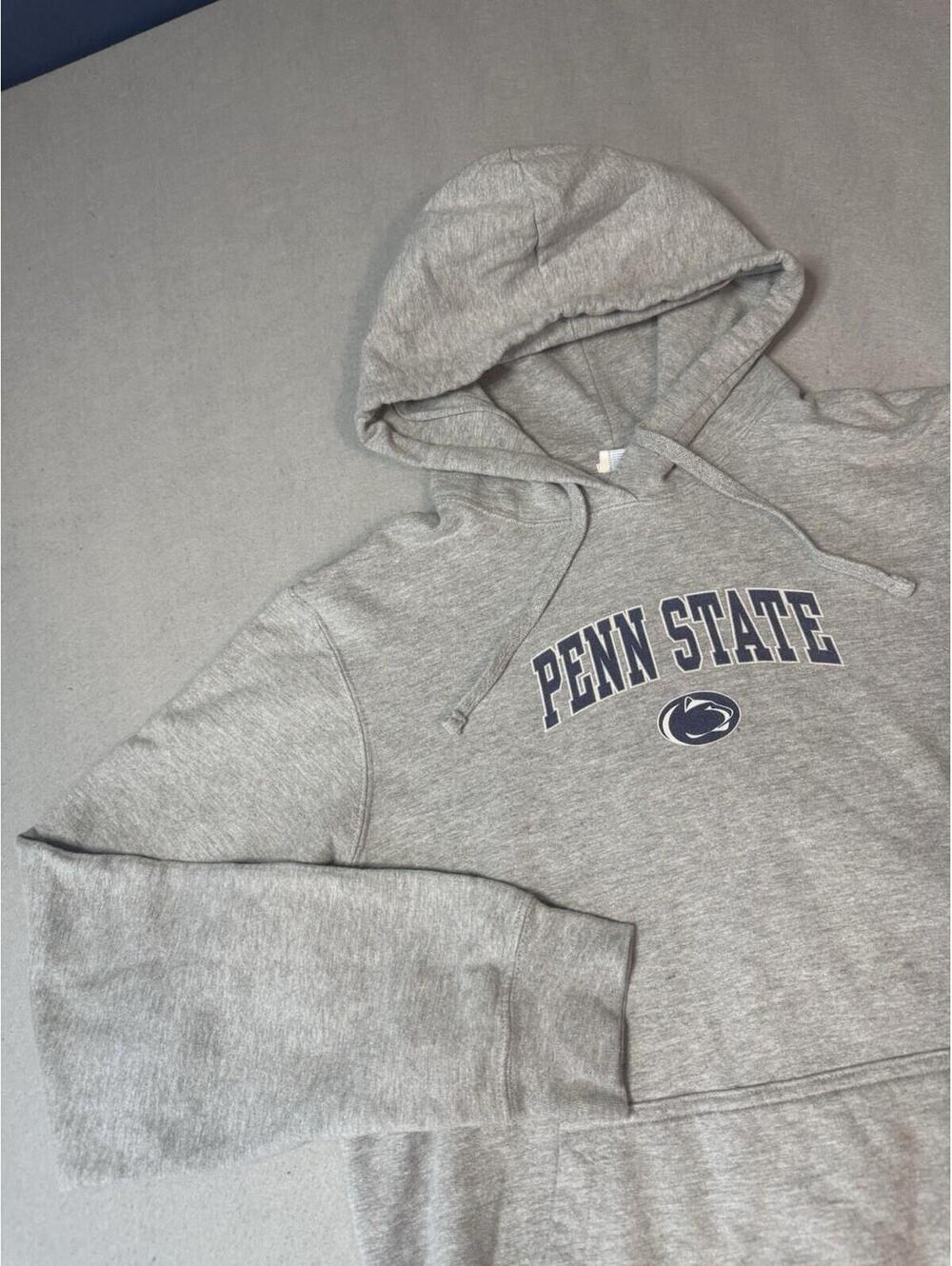 Penn State Nittany Lions‎ Hoodie Mens Medium Gray Pullover Sweatshirt NCAA